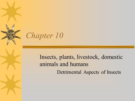 Chapter 10 Insects, plants, livestock, domestic animals and humans Detrimental Aspects of Insects.