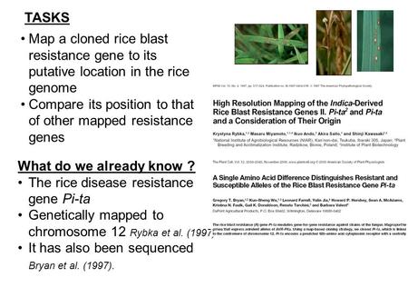 What do we already know ? The rice disease resistance gene Pi-ta Genetically mapped to chromosome 12 Rybka et al. (1997). It has also been sequenced Bryan.