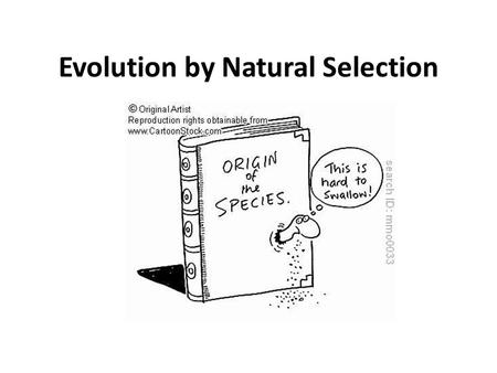 Evolution by Natural Selection. : What does Kanye West have to do with evolution? Essential question: What was in Darwin’s book, On the Origin of Species?