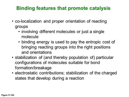 Binding features that promote catalysis