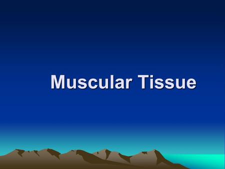 Muscular Tissue.