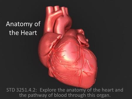 Anatomy of the Heart STD 3251.4.2: Explore the anatomy of the heart and the pathway of blood through this organ.