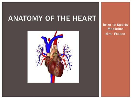 Intro to Sports Medicine Mrs. Frasca ANATOMY OF THE HEART.
