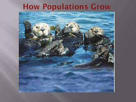 Characteristics of Populations Three important characteristics of a population are its:  geographic distribution  population density  growth rate.