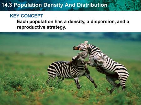 Population density - number of individuals that live in a defined area.