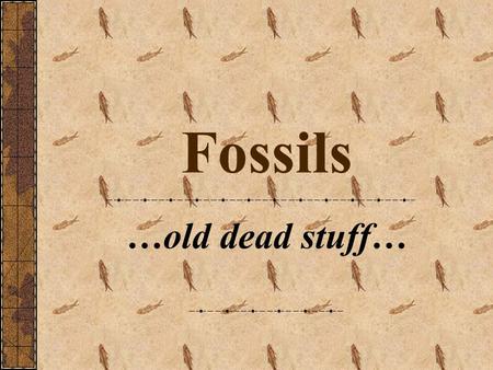 Fossils …old dead stuff… How old is old?
