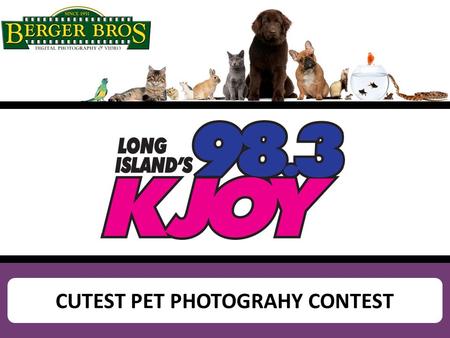 CUTEST PET PHOTOGRAHY CONTEST. Example of Homepage Flashbox promoting online contest SUBMIT YOUR PHOTO AND YOU COULD WIN A $300 BERGER BROTHERS GIFT CARD!