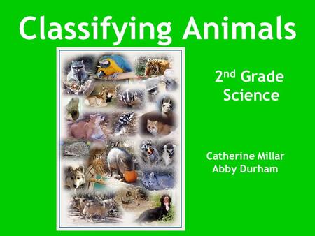 Classifying Animals Catherine Millar Abby Durham 2 nd Grade Science.
