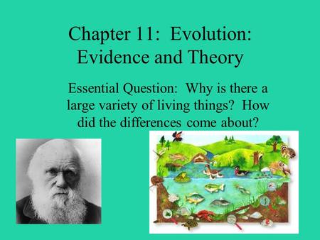 Chapter 11: Evolution: Evidence and Theory Essential Question: Why is there a large variety of living things? How did the differences come about?