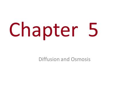 Chapter 5 Diffusion and Osmosis. Diffusion – What is it? – Why does it occur? – What is misleading about the way the molecules are drawn in the equilibrium.