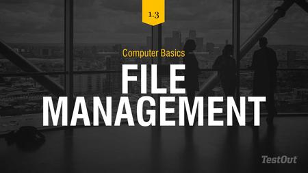 FILE MANAGEMENT Computer Basics 1.3. FILE EXTENSIONS.txt.pdf.jpg.bmp.png.zip.wav.mp3.doc.docx.xls.xlsx.ppt.pptx.accdb.