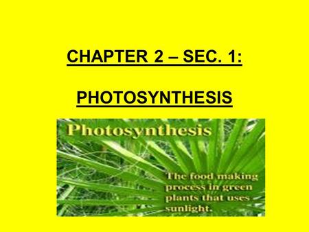 CHAPTER 2 – SEC. 1: PHOTOSYNTHESIS. I. WHAT IS PHOTOSYNTHESIS? Every living organism on this planet needs energy to function. For example, cells need.