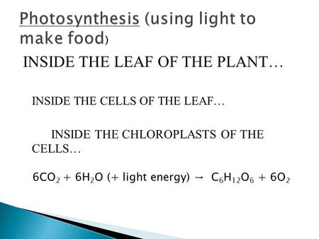 INSIDE THE LEAF OF THE PLANT… INSIDE THE CELLS OF THE LEAF… INSIDE THE CHLOROPLASTS OF THE CELLS… 6CO 2 + 6H 2 O (+ light energy) → C 6 H 12 O 6 + 6O 2.