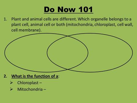 Do Now 101 Plant and animal cells are different. Which organelle belongs to a plant cell, animal cell or both (mitochondria, chloroplast, cell wall, cell.