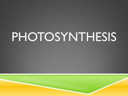 PHOTOSYNTHESIS. WHAT IS PHOTOSYNTHESIS?  The process of photosynthesis is a chemical reaction.  It is the most important chemical reaction on our planet.