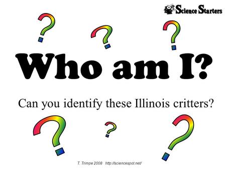 Who am I? Can you identify these Illinois critters? T. Trimpe 2008