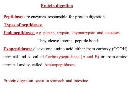 Protein digestion Peptidases are enzymes responsible for protein digestion Types of peptidases: Endopeptidases: e.g. pepsin, trypsin, chymotrypsin and.