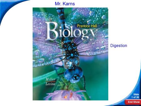 End Show Slide 1 of 36 Biology Mr. Karns Digestion.