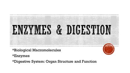 *Biological Macromolecules *Enzymes *Digestive System: Organ Structure and Function.