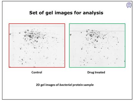 ControlDrug treated 2D gel images of bacterial protein sample Set of gel images for analysis.