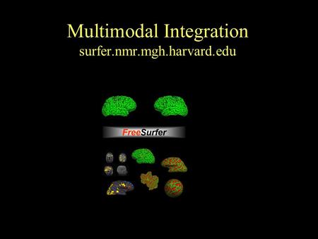 Multimodal Integration surfer.nmr.mgh.harvard.edu