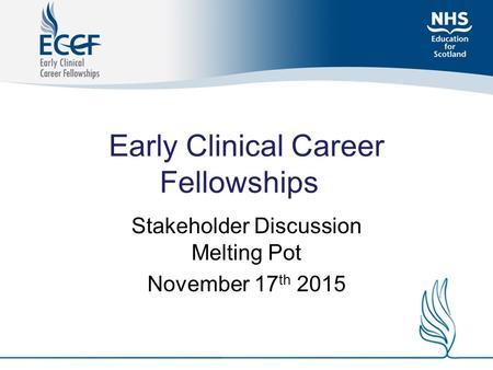 Early Clinical Career Fellowships Stakeholder Discussion Melting Pot November 17 th 2015.
