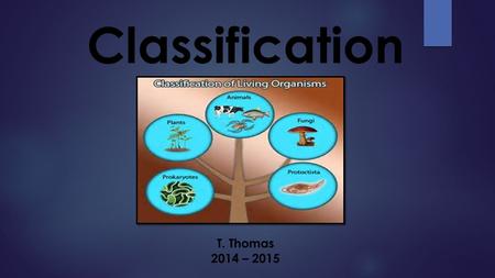 Classification T. Thomas 2014 – 2015
