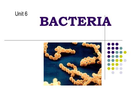 BACTERIA Unit 6. Classified by: Respiration: anaerobes - cannot survive in the presence of atmospheric oxygen. aerobes - cannot survive without atmospheric.