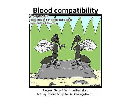 Blood compatibility.