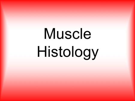 Muscle Histology.