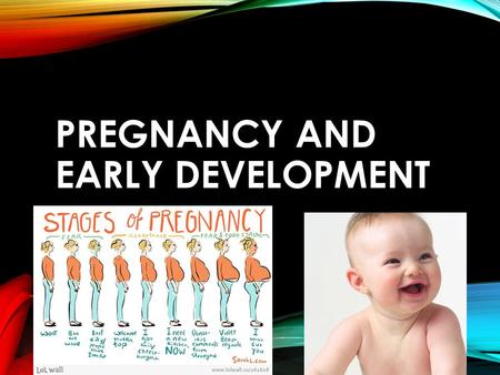 Pregnancy and Early Development