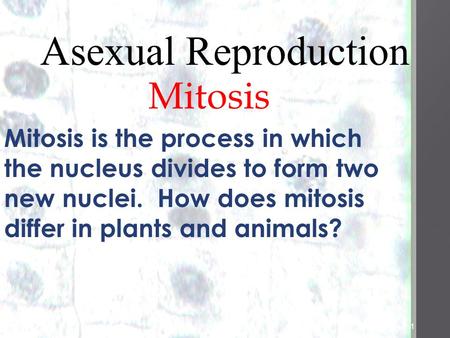 1 1 Asexual Reproduction Mitosiss Mitosis is the process in which the nucleus divides to form two new nuclei. How does mitosis differ in plants and animals?