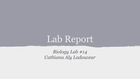 Lab Report Biology Lab #14 Cathiana Aly Ladouceur.
