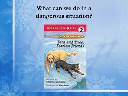 What can we do in a dangerous situation?. Tara & Tiree, Two Good Friends Vocabulary Words collar slipped brave Amazing Words courageous hazard rescue.