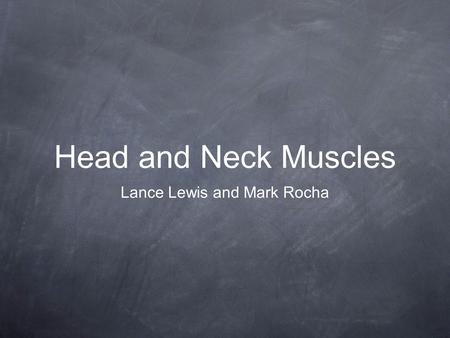 Head and Neck Muscles Lance Lewis and Mark Rocha.