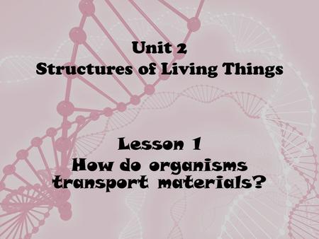 Unit 2 Structures of Living Things Lesson 1 How do organisms transport materials?