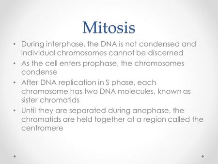 Mitosis During interphase, the DNA is not condensed and individual chromosomes cannot be discerned As the cell enters prophase, the chromosomes condense.