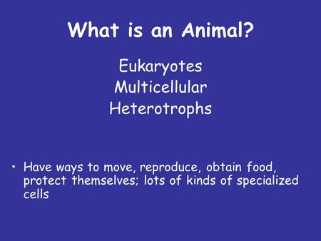 What is an Animal? Eukaryotes Multicellular Heterotrophs Have ways to move, reproduce, obtain food, protect themselves; lots of kinds of specialized cells.