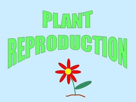 PLANT REPRODUCTION.