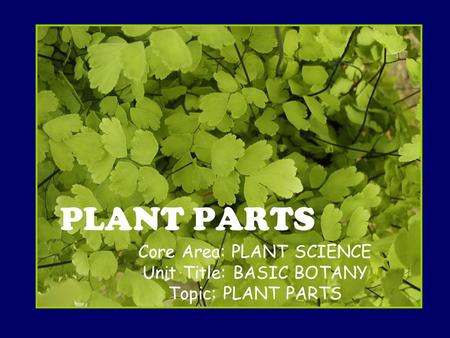 Core Area: PLANT SCIENCE Unit Title: BASIC BOTANY Topic: PLANT PARTS PLANT PARTS.