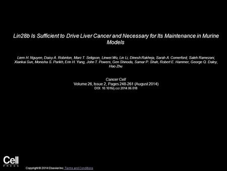 Lin28b Is Sufficient to Drive Liver Cancer and Necessary for Its Maintenance in Murine Models Liem H. Nguyen, Daisy A. Robinton, Marc T. Seligson, Linwei.