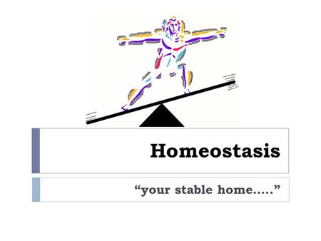 Homeostasis “your stable home…..”. Homeostasis: [sameness, state w/o change]  The INTERNAL environment of the body is kept STABLE despite changes.