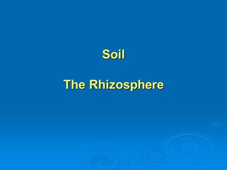 Soil The Rhizosphere. Four distinct components of soil: Four distinct components of soil: inorganic mineral particles inorganic mineral particles water.