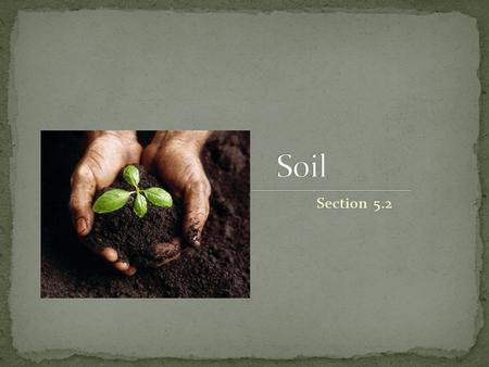 Soil Section 5.2.