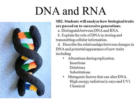 SB2. Students will analyze how biological traits are passed on to successive generations. a. Distinguish between DNA and RNA. b. Explain the role of DNA.
