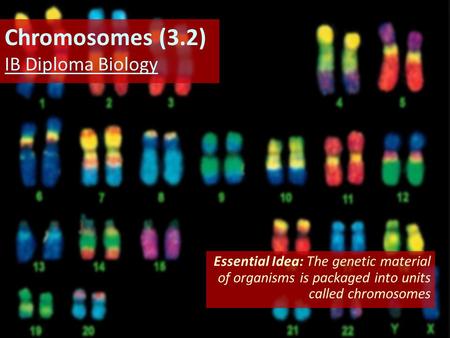 Chromosomes (3.2) IB Diploma Biology Essential Idea: The genetic material of organisms is packaged into units called chromosomes.