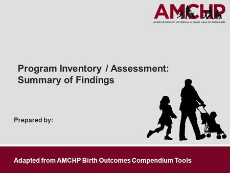 Prepared by: Program Inventory / Assessment: Summary of Findings Adapted from AMCHP Birth Outcomes Compendium Tools.