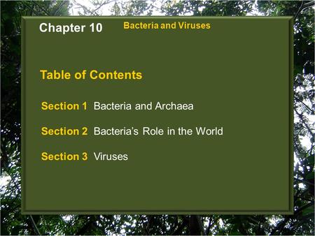 Chapter 10 Table of Contents Section 1 Bacteria and Archaea