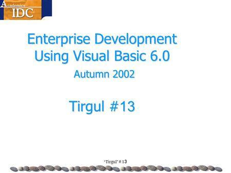 ‘Tirgul’ # 13 Enterprise Development Using Visual Basic 6.0 Autumn 2002 Tirgul #13.
