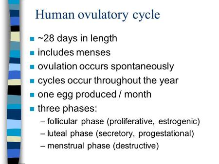 Human ovulatory cycle n ~28 days in length n includes menses n ovulation occurs spontaneously n cycles occur throughout the year n one egg produced / month.